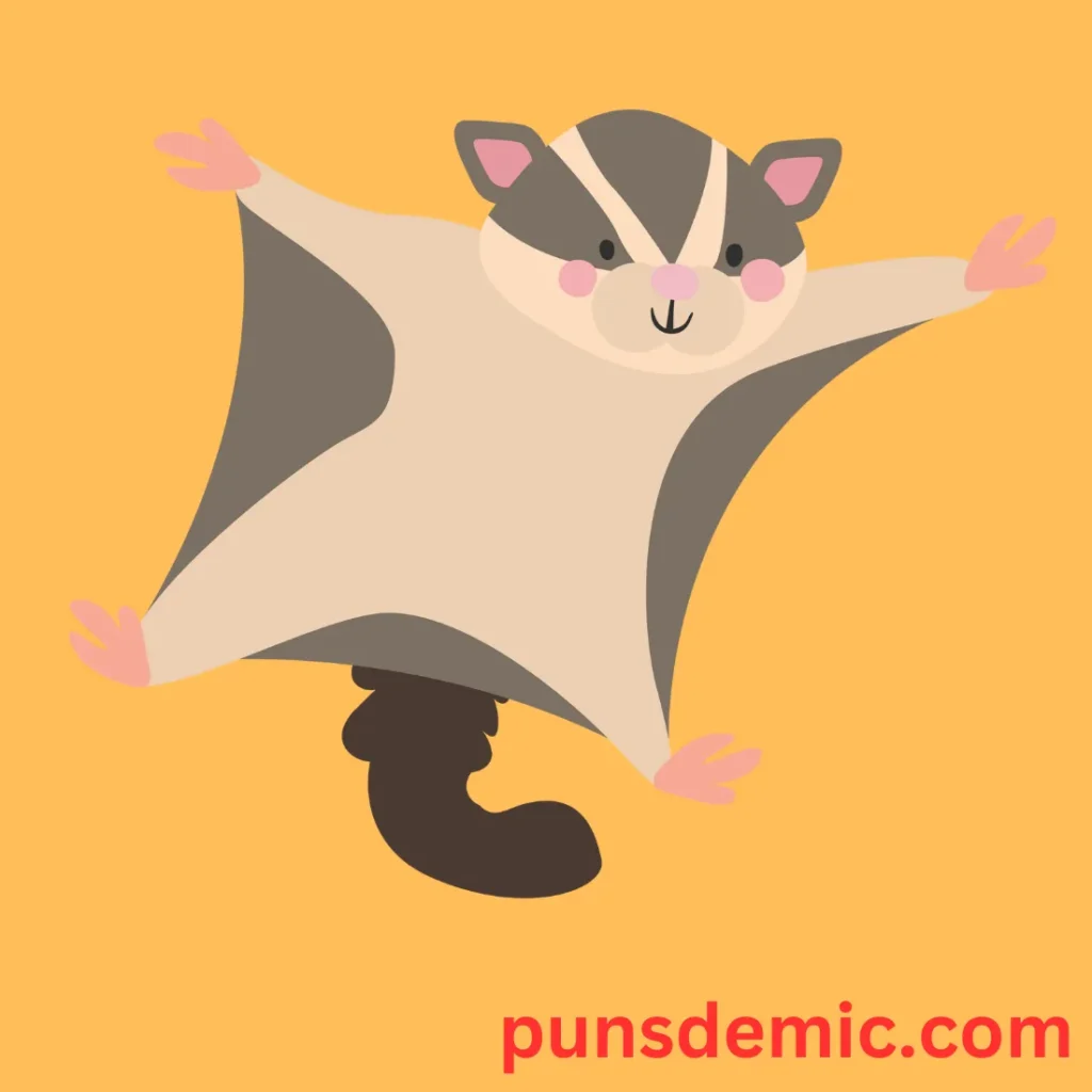 Punny Possum Puns for Kids