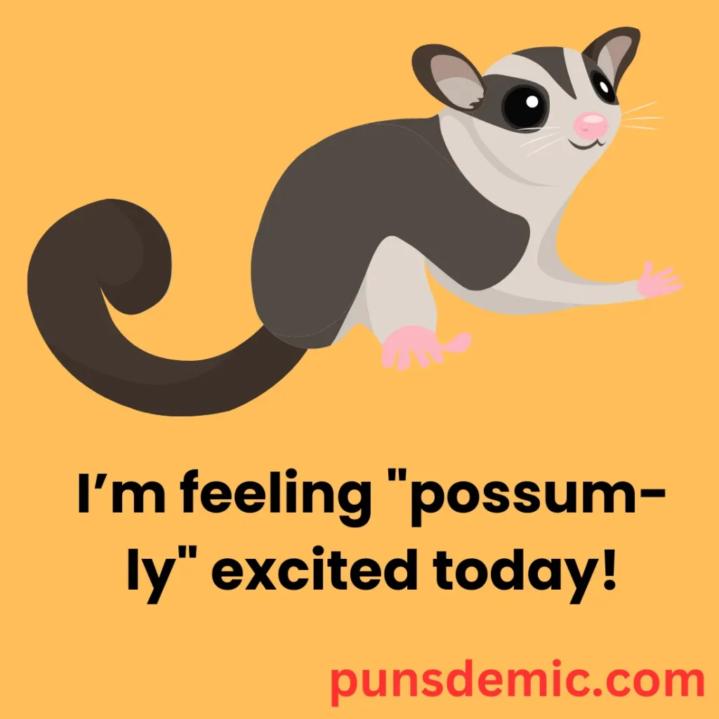 Possum Puns for a Good Laugh